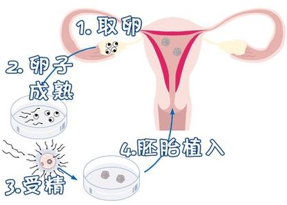 林主任医师